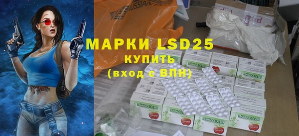 хмурый Лиски