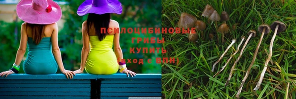 хмурый Лиски